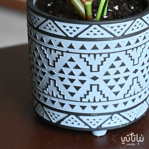ببروميا خضراء في اصيص فخاري مزخرف