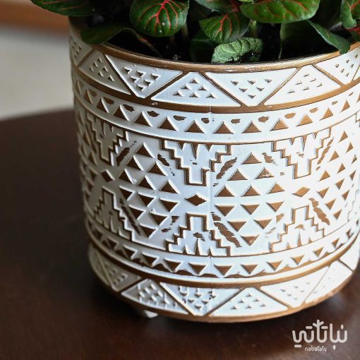 فيتونيا داكنة في اصيص فخاري مزخرف