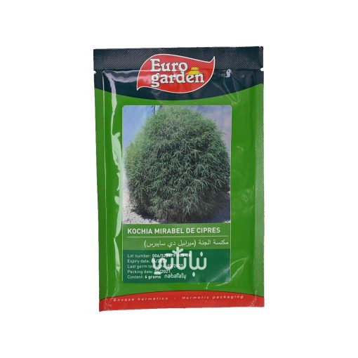 بذور مكنسة الجنة