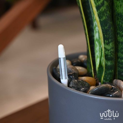 قارئ رطوبة التربة