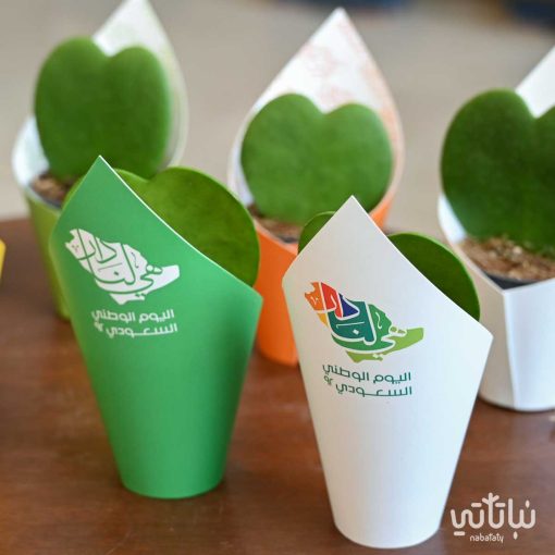 مجموعة نبتة الهويا ثيم اليوم الوطني