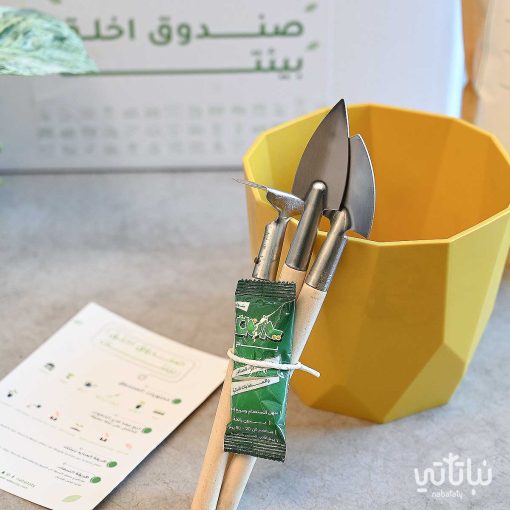 صندوق اخلق بيئتك