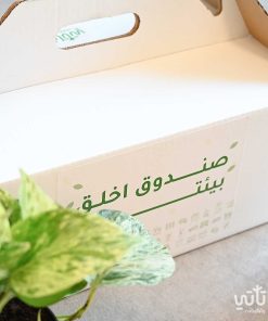 صندوق اخلق بيئتك