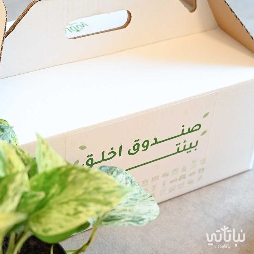 صندوق اخلق بيئتك