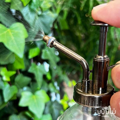 بخاخ ماء زجاجي
