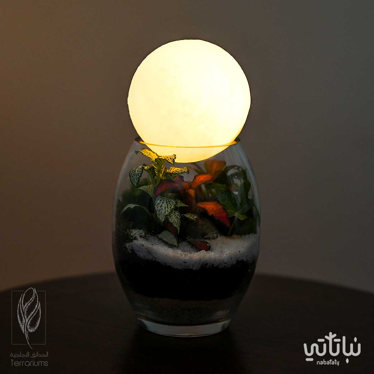 غابة القمر