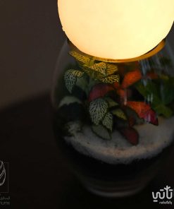 غابة القمر