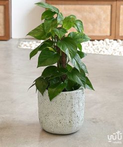 حوض نباتات اسمنتي دائري ابيض 24 سم