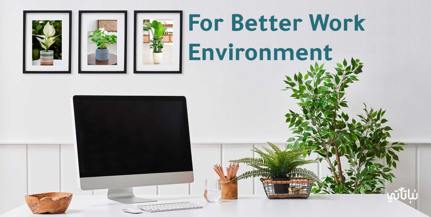 For better work environment