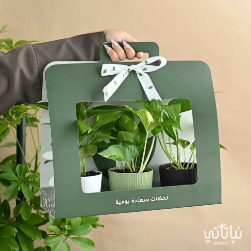 هولدر البوتس اخضر