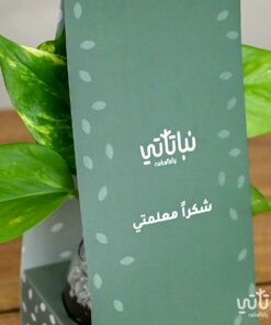 هولدر نبتة البوتس شكرا معلمتي