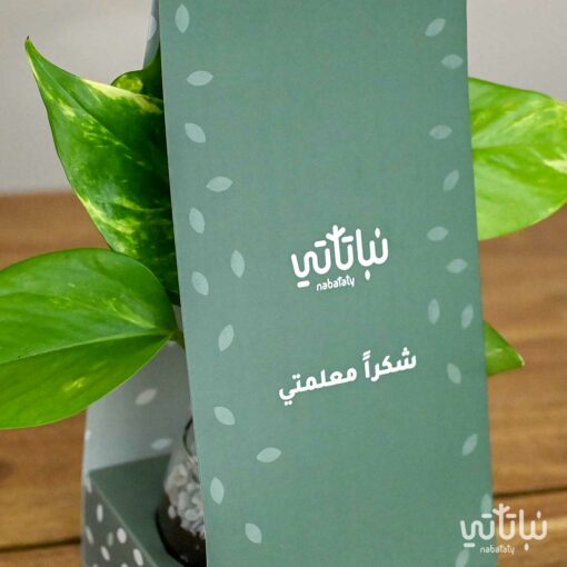 هولدر نبتة البوتس شكرا معلمتي