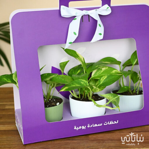 ⁦بكج هدية البوتس بنفسجي⁩ - الصورة ⁦2⁩