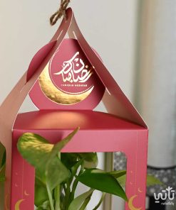 هدية فانوس رمضان نبتة البوتس احمر