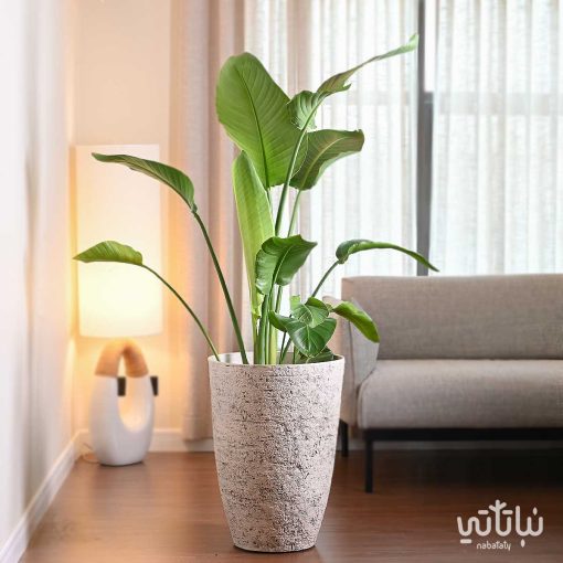 حوض بلاستيك ابيض طولي طراز حجري 45 سم