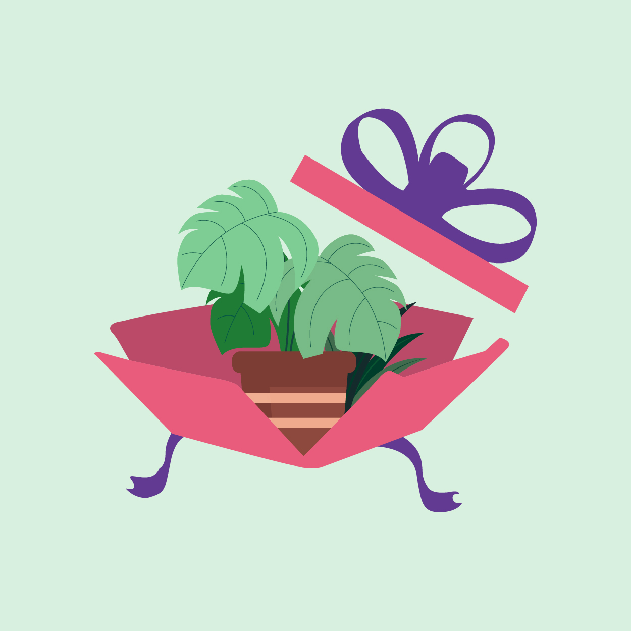 Plant gift