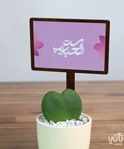 هدية نبتة الهويا