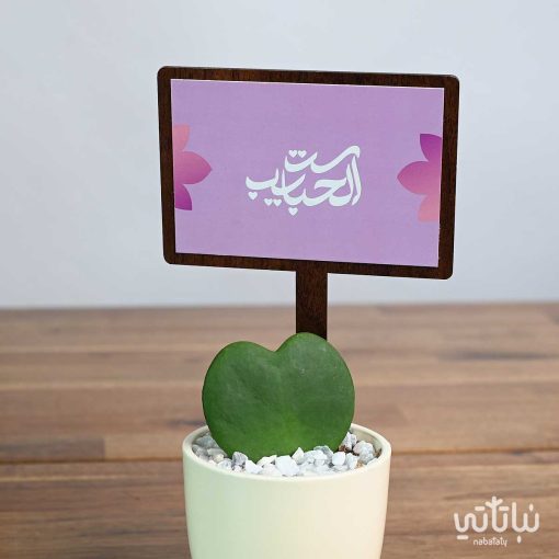 هدية نبتة الهويا
