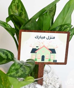 هدية منزل مبارك المجموعة الزجاجية