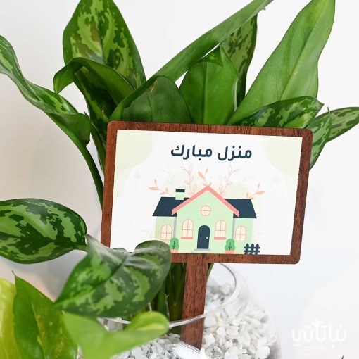 هدية منزل مبارك المجموعة الزجاجية