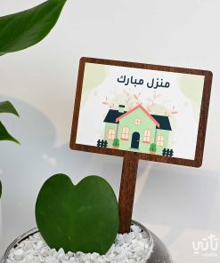 هدية منزل مبارك نبتة الهويا