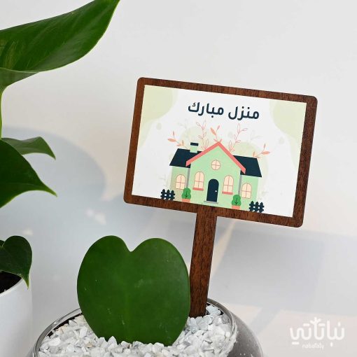 هدية منزل مبارك نبتة الهويا