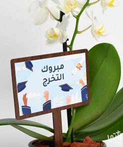 هدية مبروك التخرج نبتة الأوركيد وتشوكلت مغلف