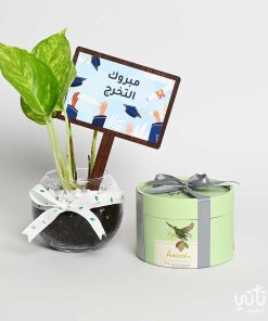 هدية مبروك التخرج نبتة البوتس وتشوكلت مغلف