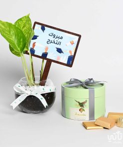 هدية مبروك التخرج نبتة البوتس وتشوكلت مغلف