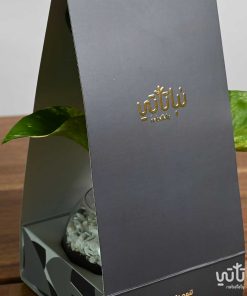 هولدر نبتة البوتس عيد الأضحى