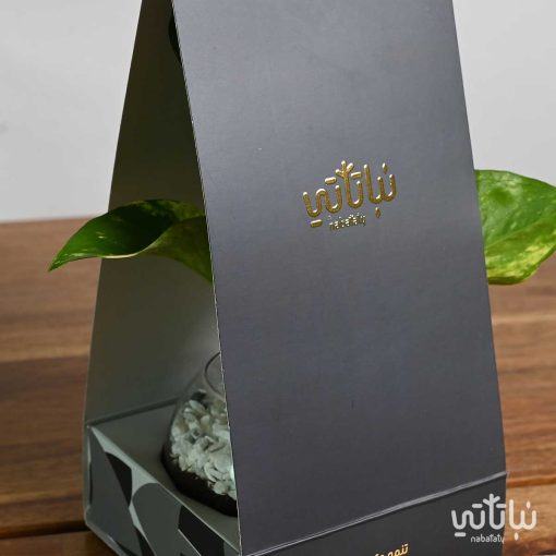 هولدر نبتة البوتس عيد الأضحى