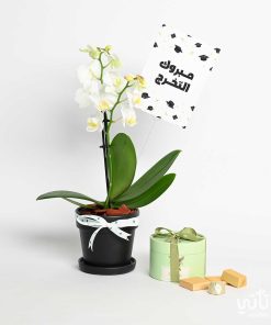 هدية مبروك التخرج نبتة الأوركيد وتشوكلت مغلف
