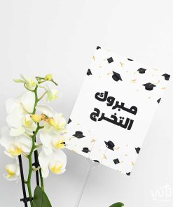 هدية مبروك التخرج نبتة الأوركيد وتشوكلت مغلف