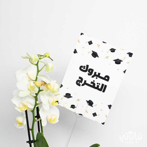 هدية مبروك التخرج نبتة الأوركيد وتشوكلت مغلف