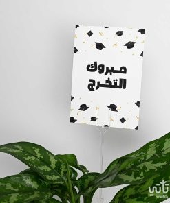 هدية مبروك التخرج نبتة الاجلونيما وتشوكلت مغلف