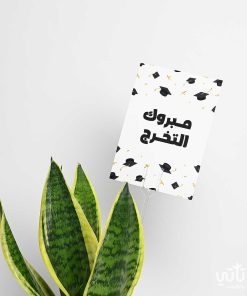 هدية مبروك التخرج نبتة جلد النمر