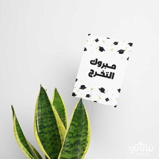 هدية مبروك التخرج نبتة جلد النمر