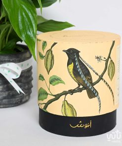 هدية الزواج نبتة الاشرعة البيضاء وتشوكلت كرسبي