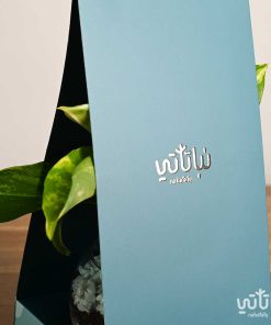 هدية هولدر نبتة البوتس ازرق