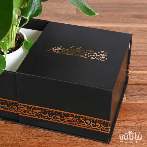 هدية عودة الحجاج مع نبتة الانتوريوم