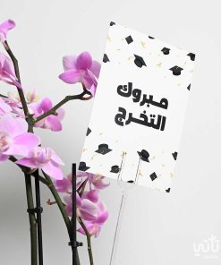 هدية مبروك التخرج نبتة الاوركيد وتشوكلت سولتد