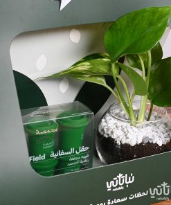 هدية نبتة البوتس مع قهوة سريعة الذوبان - حقل السفانية