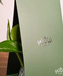 هدية هولدر نبتة البوتس اخضر