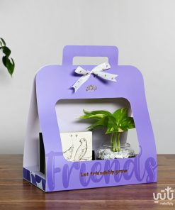 Pothos plant Gift best friend