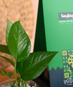 هولدر نبتة البوتس ثيم اليوم الوطني