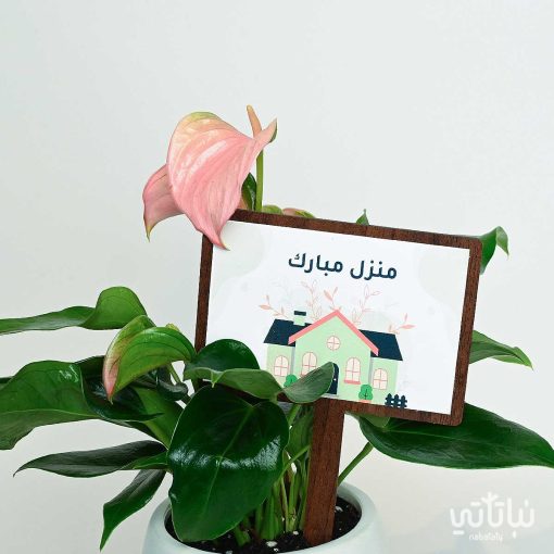 هدية منزل مبارك المجموعة المزهرة