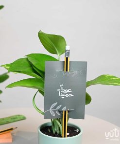 هدية نبتة البوتس عودة المدارس