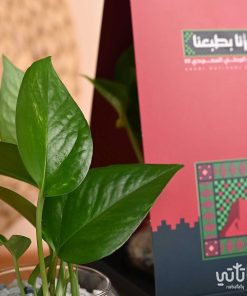 هولدر نبتة البوتس ثيم اليوم الوطني