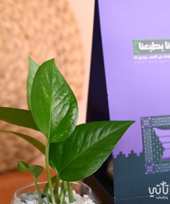 هولدر نبتة البوتس ثيم اليوم الوطني