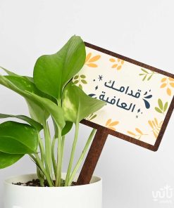 هدية قدامك العافية نبتة البوتس و تشوكلت روكي بايتس